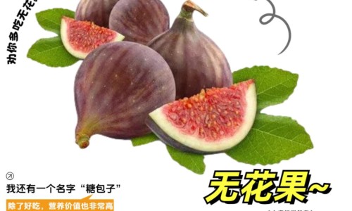 泰国足贴最建议买的三样-泰国足贴哺乳期能用吗网 - 网站提供哺乳期用足贴影响孩子吗小常识、泰国足贴哺乳期能用吗有影响吗