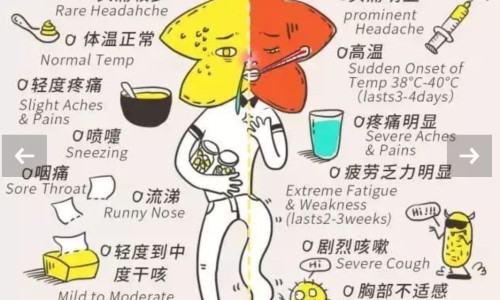 泰国足贴-泰国足贴哺乳期能用吗网 - 网站提供哺乳期用足贴影响孩子吗小常识、泰国足贴哺乳期能用吗有影响吗